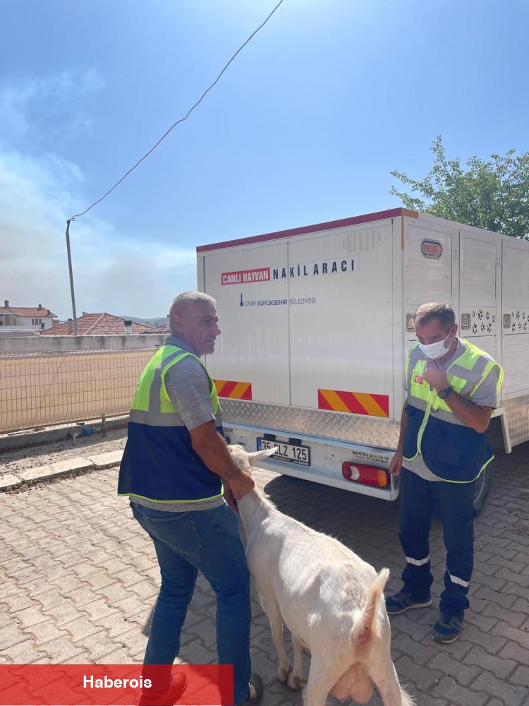 İzmir Büyükşehir'den yangınların bilançosu