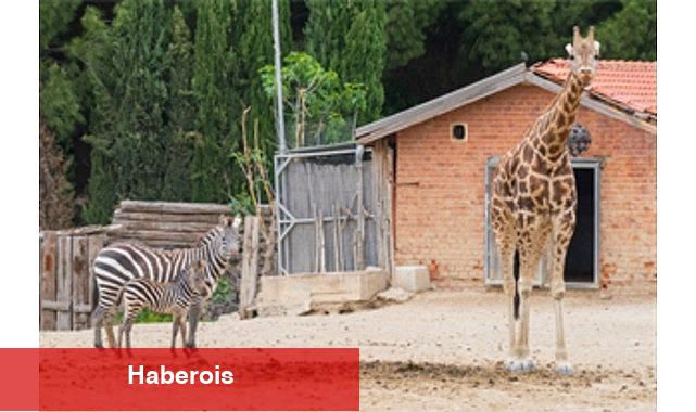 İzmir Doğal Hayat Parkı bayramda ziyaretçileri bekliyor