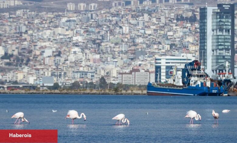 İzmir 'iklim nötr' amaçlarını dünyaya tanıttı - Haberois İzmir 'iklim nötr' amaçlarını dünyaya tanıttı