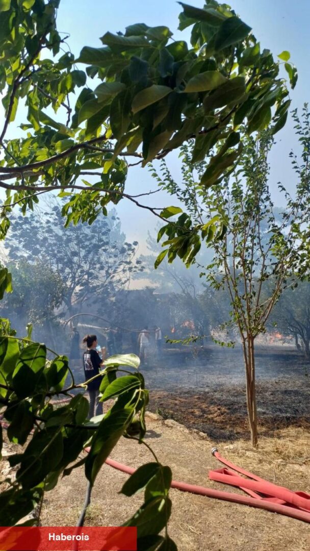 İzmir'de yangın ve fırtınayla mücadele!