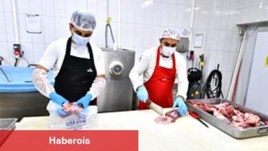 İzmirlilerin et bağışları gereksinim sahiplerine ulaştırılıyor - Haberois İzmirlilerin et bağışları gereksinim sahiplerine ulaştırılıyor