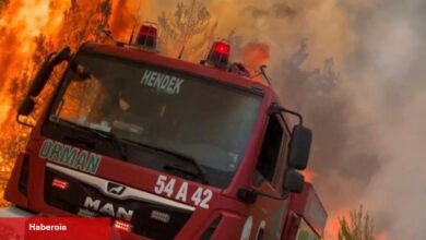 Jandarma’dan orman yangınlarına ait soruşturma: 11 gözaltı!