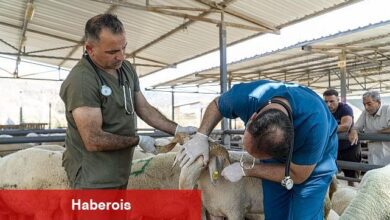 Karşıyaka, Kurban Bayramı'na hazır! - Haberois Karşıyaka, Kurban Bayramı'na hazır!