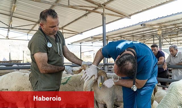 Karşıyaka, Kurban Bayramı'na hazır!
