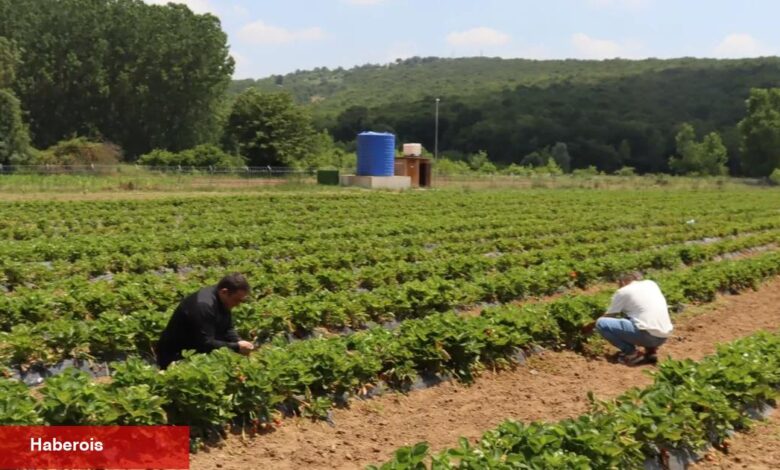 Kocaeli İzmit’te genç girişimcilere dayanak