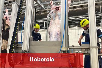 Kocaeli'den ihtar... Sakatatları açık halde çöpe atmayın - Haberois Kocaeli'den ihtar... Sakatatları açık halde çöpe atmayın