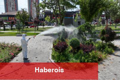 Konya'da yeşil alanları ilaçlamaya devam