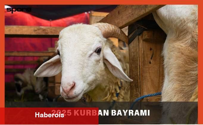 Kurban keserken hangi dualar, ayetler okunur? 2025 - Haberois Kurban keserken hangi dualar, ayetler okunur? 2025