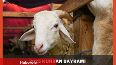 KURBAN KESERKEN OKUNACAK DUALAR | Diyanet Kurban keserken tekbir nasıl getirilir?