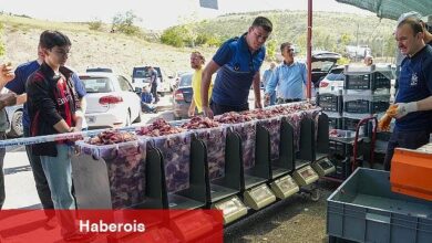 Kurban Kesim Alanlarında Hummalı Paklık Çalışması