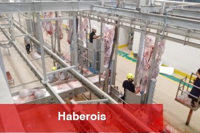 Kurbanlar Kocaeli'nin çağdaş mezbahasında kesiliyor - Haberois Kurbanlar Kocaeli'nin çağdaş mezbahasında kesiliyor
