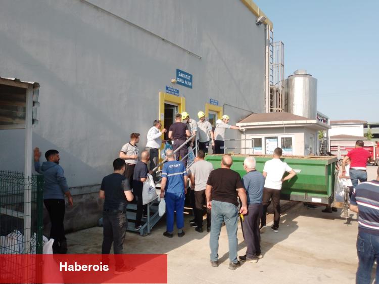 Kurbanlar Kocaeli'nin çağdaş mezbahasında kesiliyor - Haberois Kurbanlar Kocaeli'nin çağdaş mezbahasında kesiliyor