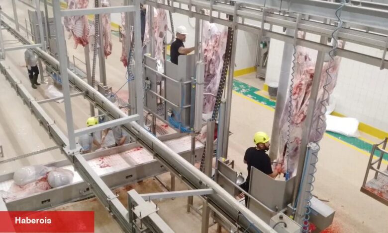 Kurbanlar Kocaeli'nin çağdaş mezbahasında kesiliyor - Haberois Kurbanlar Kocaeli'nin çağdaş mezbahasında kesiliyor