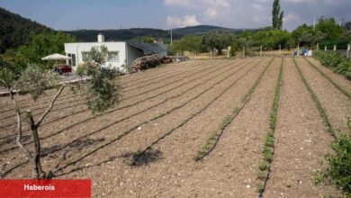 Kurbanlık hayvanların atıkları Bornova'da toprağa can oluyor - Haberois Kurbanlık hayvanların atıkları Bornova'da toprağa can oluyor