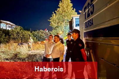 Mudanya Yolu’ndaki yangın denetim altına alındı! 4 dönüm alan ziyan gördü!