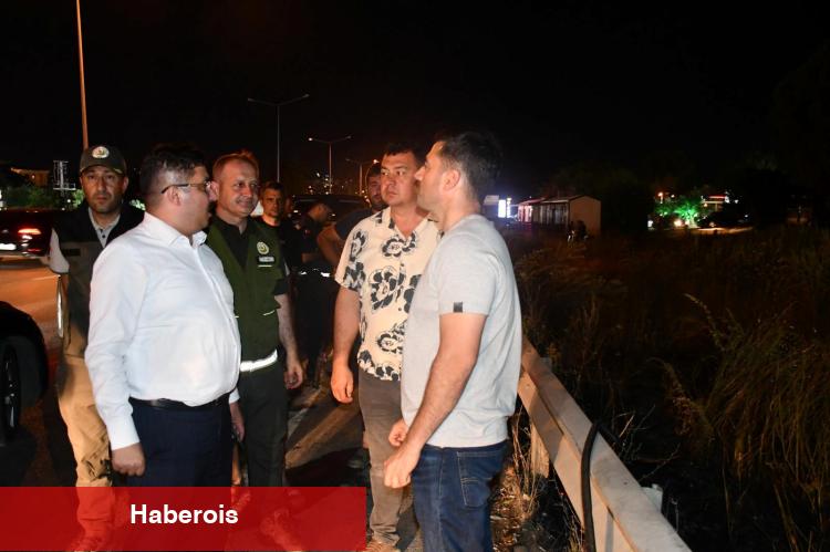 Mudanya Yolu’ndaki yangın denetim altına alındı! 4 dönüm alan ziyan gördü!