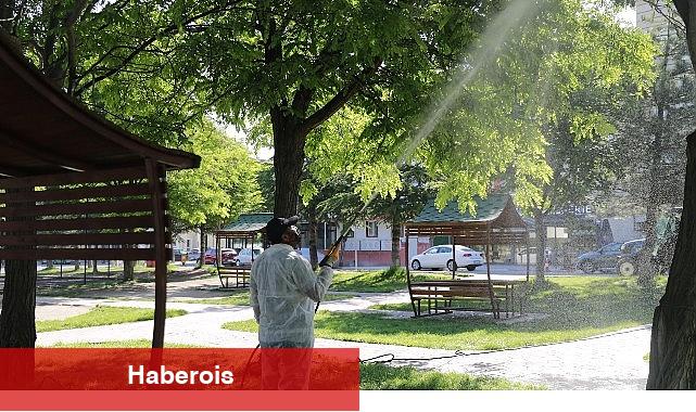 Nevşehir Belediyesi 7/24 İlaçlama Çalışması Yapıyor - Haberois Nevşehir Belediyesi 7/24 İlaçlama Çalışması Yapıyor
