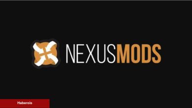 Nexus Mods'un Kurucusu, 24 Yılın Akabinde Vazifesinden Ayrılıyor - Haberois Nexus Mods'un Kurucusu, 24 Yılın Akabinde Vazifesinden Ayrılıyor