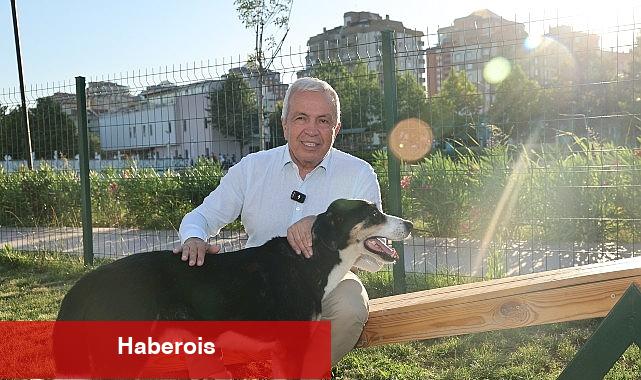 Nilüfer'de can dostlar yeni yuvalarına kavuştu