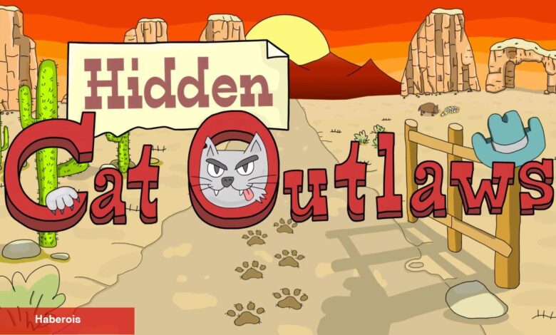 Oynadınız Mı? – Hidden Cat Outlaws