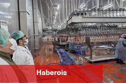 Sakarya’da kanatlı hayvan işletmelerine sıkı kontrol