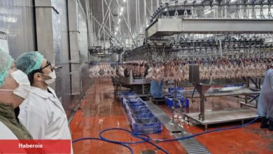 Sakarya’da kanatlı hayvan işletmelerine sıkı kontrol - Haberois Sakarya’da kanatlı hayvan işletmelerine sıkı kontrol