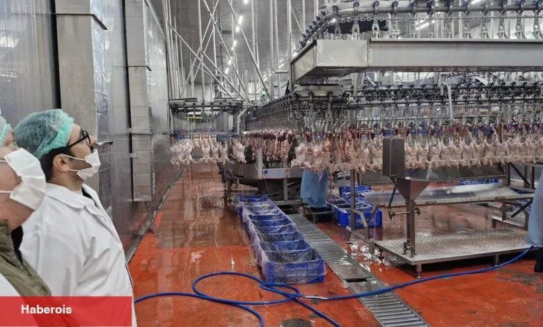 Sakarya’da kanatlı hayvan işletmelerine sıkı kontrol