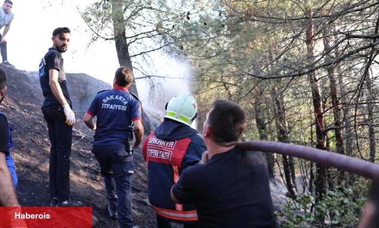 Sakarya’daki orman yangını denetim altında: 3 gözaltı!