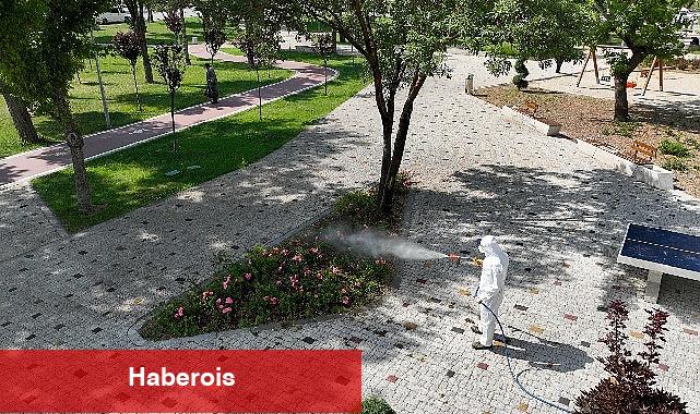 Selçuklu'da yeşil alanların ilaçlama çalışmaları devam ediyor - Haberois Selçuklu'da yeşil alanların ilaçlama çalışmaları devam ediyor