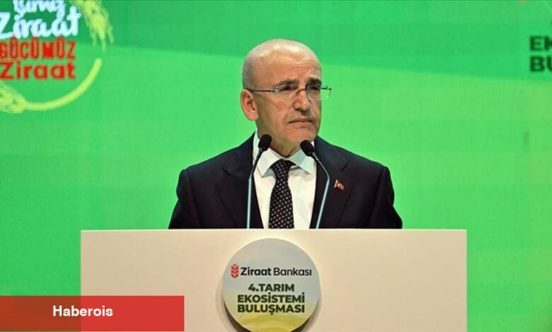 Şimşek: Dezenflasyon son bir yıldır kesintisiz devam ediyor