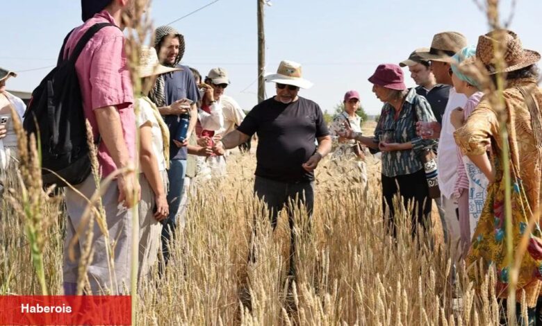 Slow Wheat Şanlıurfa 2025 coşkusu - Haberois Slow Wheat Şanlıurfa 2025 coşkusu