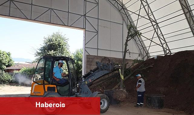 Sökülen ağaçlar geleceğe taşınıyor - Haberois Sökülen ağaçlar geleceğe taşınıyor