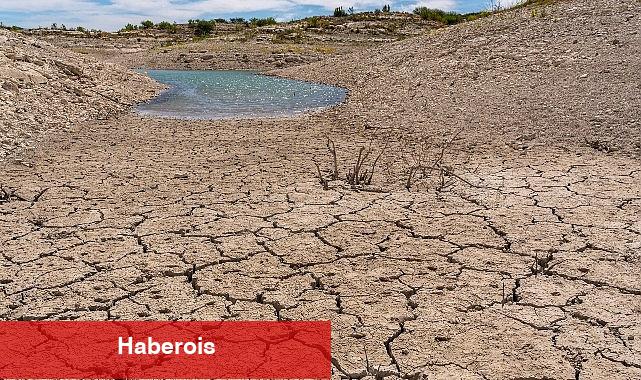 TEMA Vakfı: Toprağı Güzelleştirmek, Doğayı ve Geleceği Korumaktır - Haberois TEMA Vakfı: Toprağı Güzelleştirmek, Doğayı ve Geleceği Korumaktır