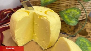 Tereyağ üretiminde yükseliş