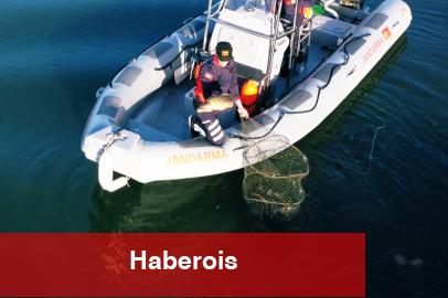 Uluabat Gölü’nde kaçak avcılığa Jandarma darbesi... 346 kilo balık tabiata kazandırıldı