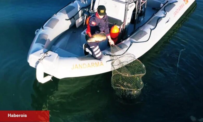Uluabat Gölü’nde kaçak avcılığa Jandarma darbesi... 346 kilo balık tabiata kazandırıldı - Haberois Uluabat Gölü’nde kaçak avcılığa Jandarma darbesi... 346 kilo balık tabiata kazandırıldı
