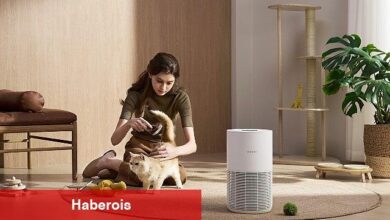 Xiaomi'den Evcil Hayvan Sahiplerine Akıllı Tahlil - Haberois Xiaomi'den Evcil Hayvan Sahiplerine Akıllı Tahlil