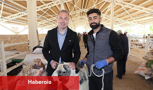 Yeni Kurban Pazarı Alıcının da Satıcının da Yüzünü Güldürdü... - Haberois Yeni Kurban Pazarı Alıcının da Satıcının da Yüzünü Güldürdü...