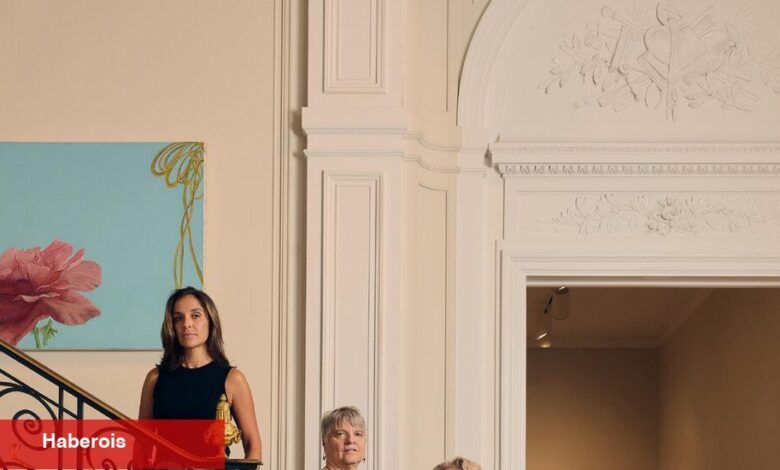 Yeniden başlatmalarına hazır: Galeriler Plumb Art Tarihinin Unutulmuş Yeteneği Nasıl? - Haberois Yeniden başlatmalarına hazır: Galeriler Plumb Art Tarihinin Unutulmuş Yeteneği Nasıl?