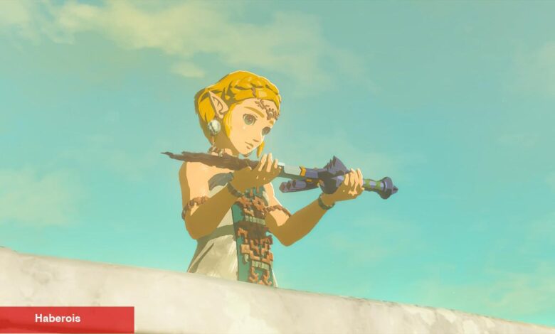 Zelda'nın Beyaz Perde Uyarlaması Şimdiden Erteleme Aldı