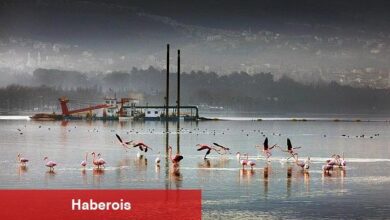 170 hektar alan taban çamurundan arındırıldı