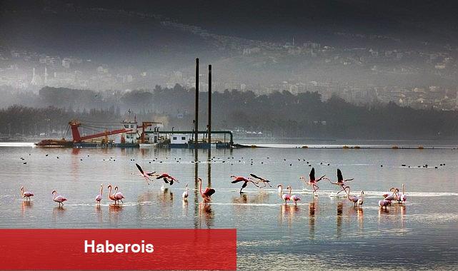 170 hektar alan taban çamurundan arındırıldı