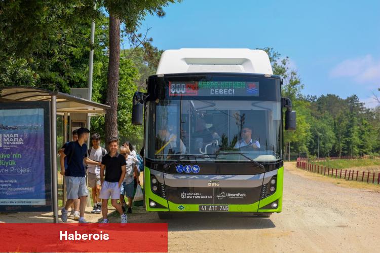 800CK, 1 ayda 46 bin vatandaşı kıyılara taşıdı