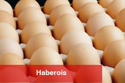 A sınıfı yumurtalarda 'tüketim tarihi' zaruriliği... Türk Besin Kodeksi Yumurta Bildirimi'nde değişiklik - Haberois A sınıfı yumurtalarda 'tüketim tarihi' zaruriliği... Türk Besin Kodeksi Yumurta Bildirimi'nde değişiklik