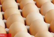 A sınıfı yumurtalarda 'tüketim tarihi' zaruriliği... Türk Besin Kodeksi Yumurta Bildirimi'nde değişiklik