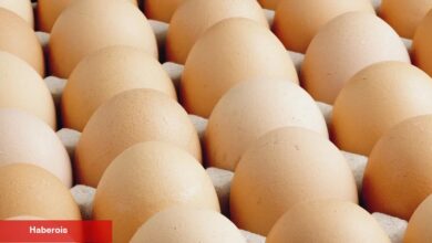A sınıfı yumurtalarda 'tüketim tarihi' zaruriliği... Türk Besin Kodeksi Yumurta Bildirimi'nde değişiklik