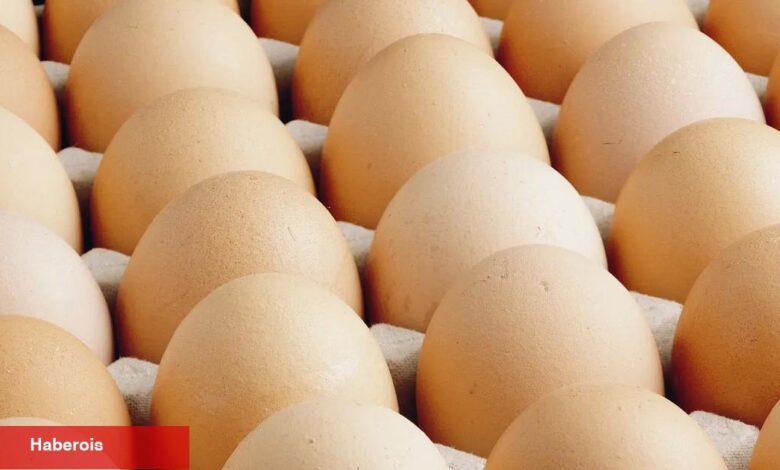 A sınıfı yumurtalarda 'tüketim tarihi' zaruriliği... Türk Besin Kodeksi Yumurta Bildirimi'nde değişiklik - Haberois A sınıfı yumurtalarda 'tüketim tarihi' zaruriliği... Türk Besin Kodeksi Yumurta Bildirimi'nde değişiklik