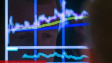 AGCO payları 1 milyar dolarlık pay geri alım programını açıkladıktan sonra yükseldi