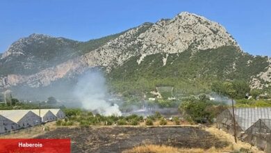 Antalya Kumluca'da çıkan yangına anında müdahale
