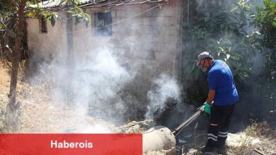 Antalya'nın tüm ilçelerinde haşereyle gayret sürüyor